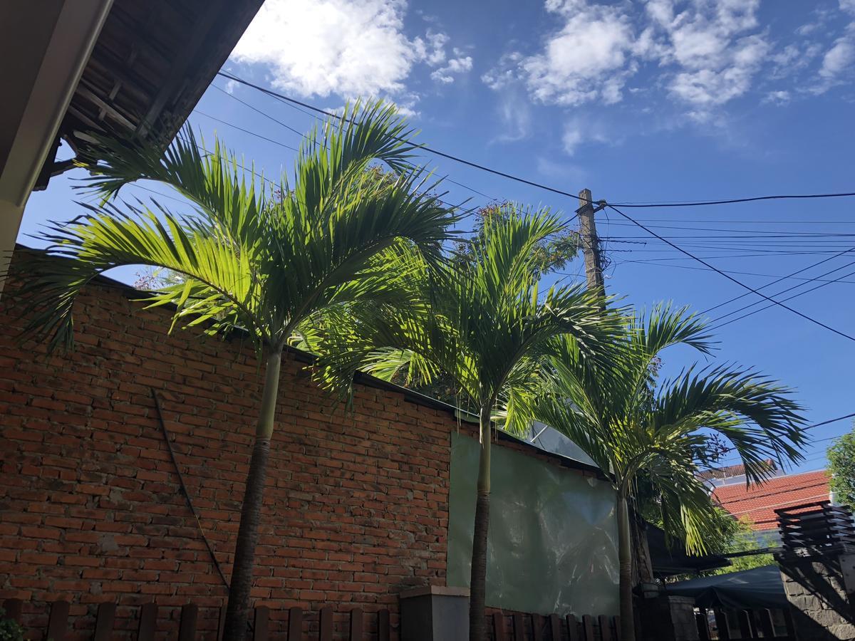 Three Palms Homestay هوي ان المظهر الخارجي الصورة